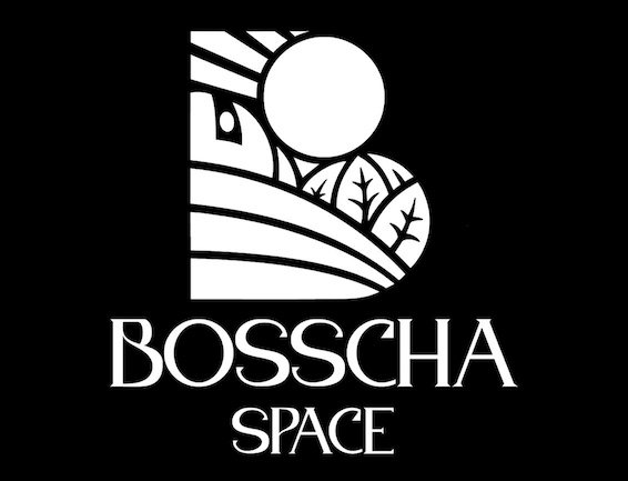 Logo Bosscha Space